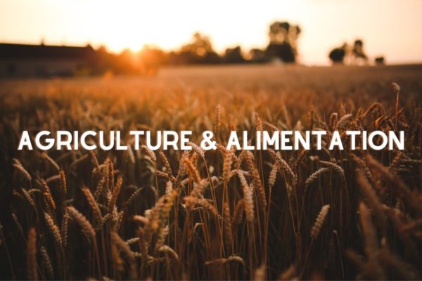 Agriculture & Alimentation