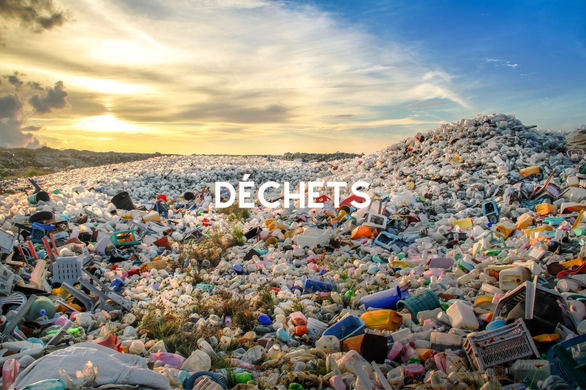 Déchets