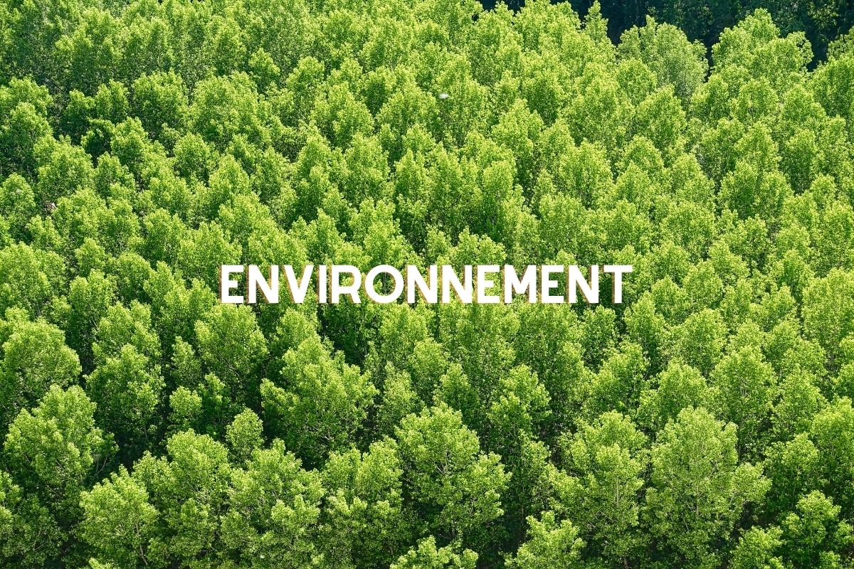 Environnement