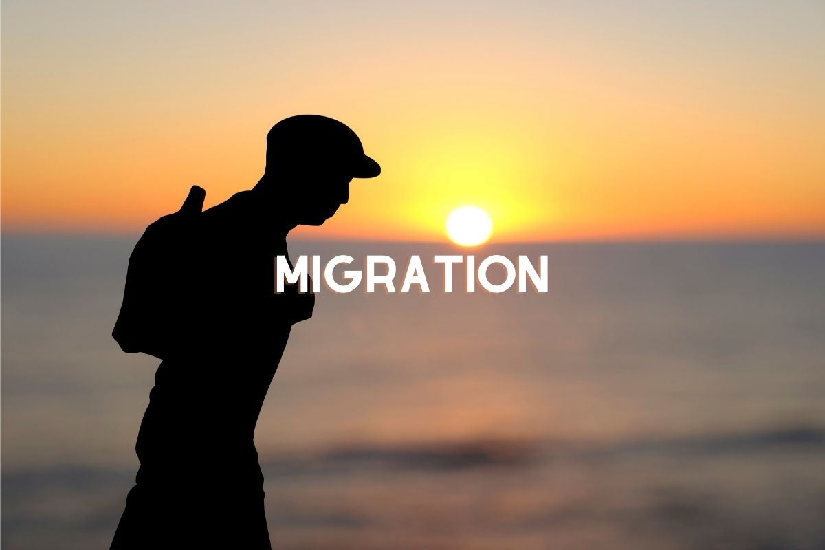 Migration