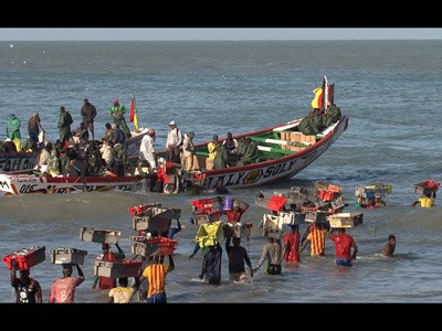 Résultat de recherche d'images pour "poisson d'or poisson africain"