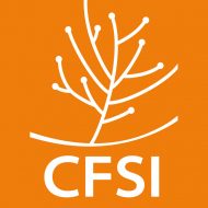 logo CFSI